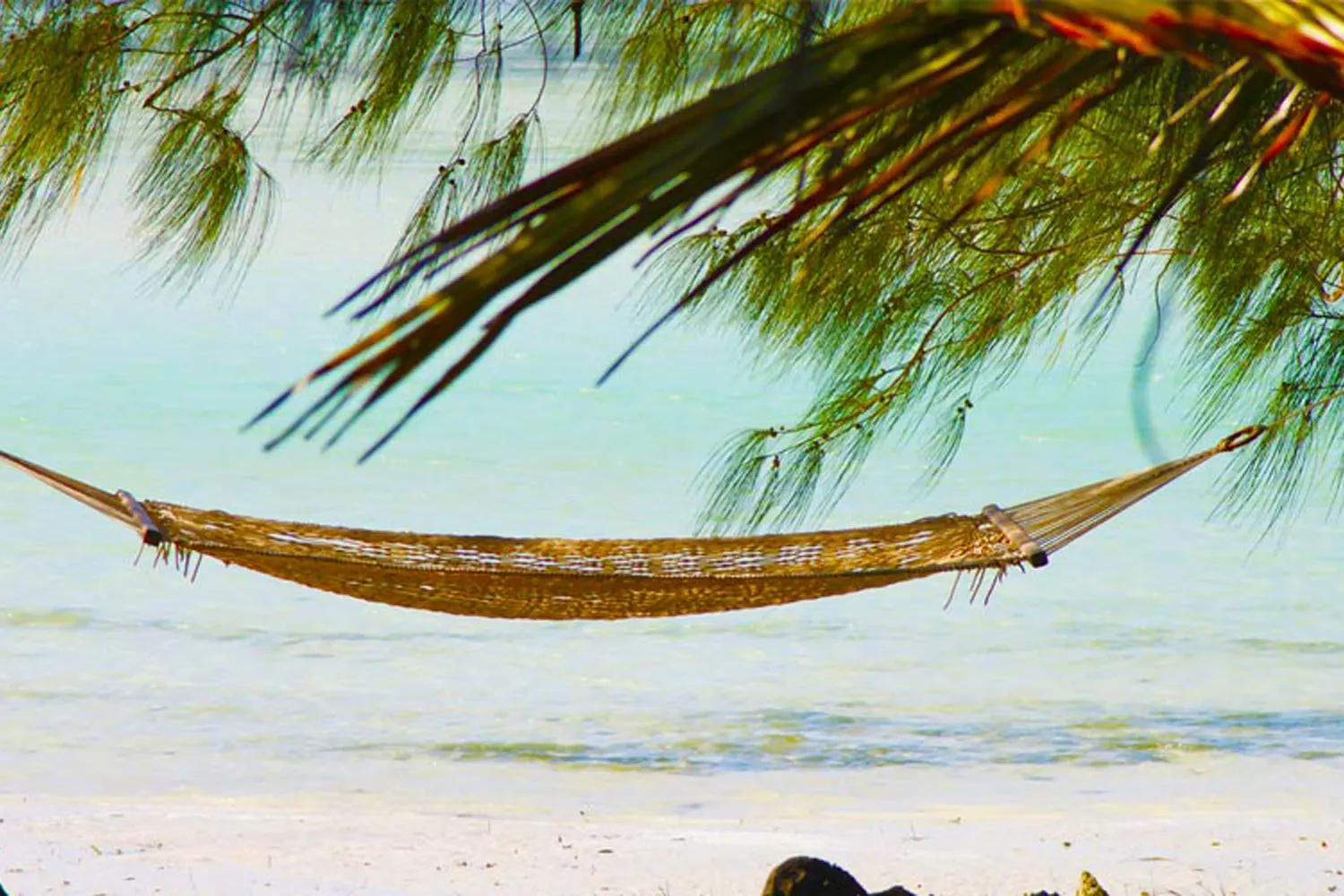4-Day Zanzibar Family Fun Package